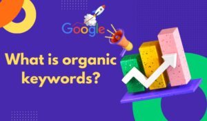 what-is-organic-keywords